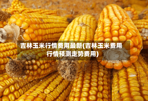 吉林玉米行情费用最新(吉林玉米费用行情预测走势费用)-第2张图片