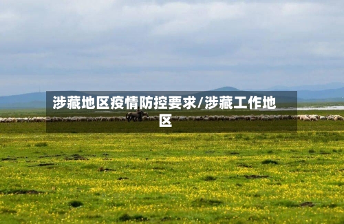 涉藏地区疫情防控要求/涉藏工作地区-第2张图片