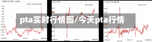 pta实时行情图/今天pta行情