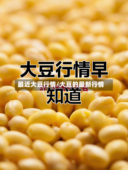 最近大豆行情/大豆的最新行情