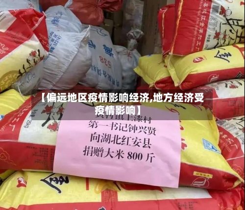 【偏远地区疫情影响经济,地方经济受疫情影响】