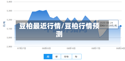 豆柏最近行情/豆柏行情预测