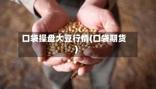 口袋操盘大豆行情(口袋期货)