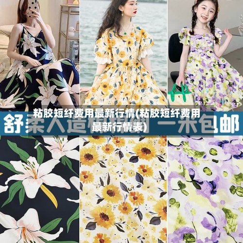 粘胶短纤费用最新行情(粘胶短纤费用最新行情表)-第2张图片