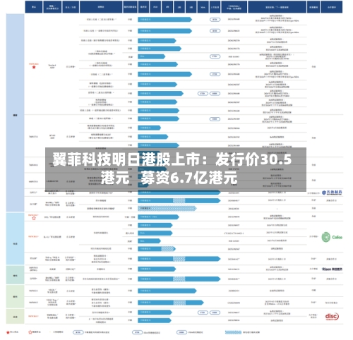 翼菲科技明日港股上市：发行价30.5港元   募资6.7亿港元-第2张图片