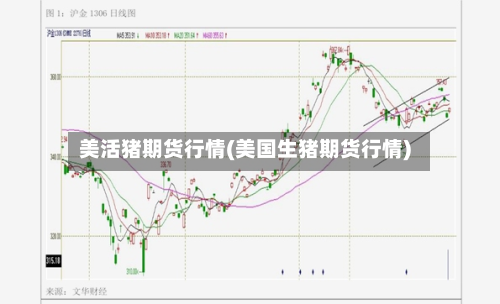美活猪期货行情(美国生猪期货行情)