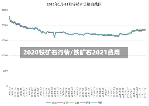 2020铁矿石行情/铁矿石2021费用