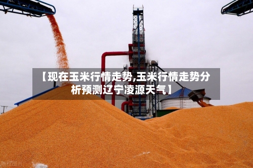 【现在玉米行情走势,玉米行情走势分析预测辽宁凌源天气】-第2张图片