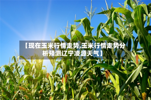 【现在玉米行情走势,玉米行情走势分析预测辽宁凌源天气】