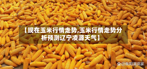 【现在玉米行情走势,玉米行情走势分析预测辽宁凌源天气】-第3张图片