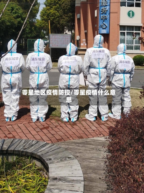 零星地区疫情防控/零星疫情什么意思-第2张图片
