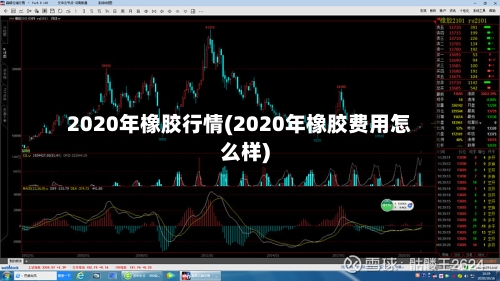 2020年橡胶行情(2020年橡胶费用怎么样)-第2张图片