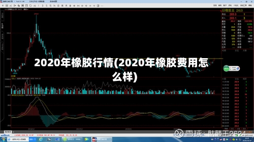 2020年橡胶行情(2020年橡胶费用怎么样)-第3张图片