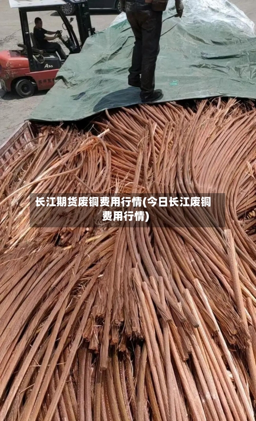 长江期货废铜费用行情(今日长江废铜费用行情)