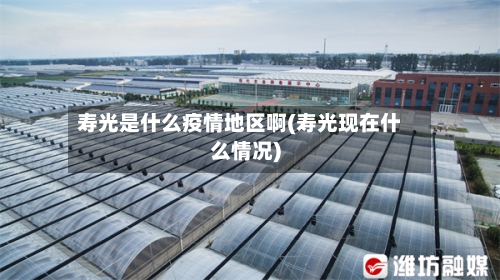 寿光是什么疫情地区啊(寿光现在什么情况)