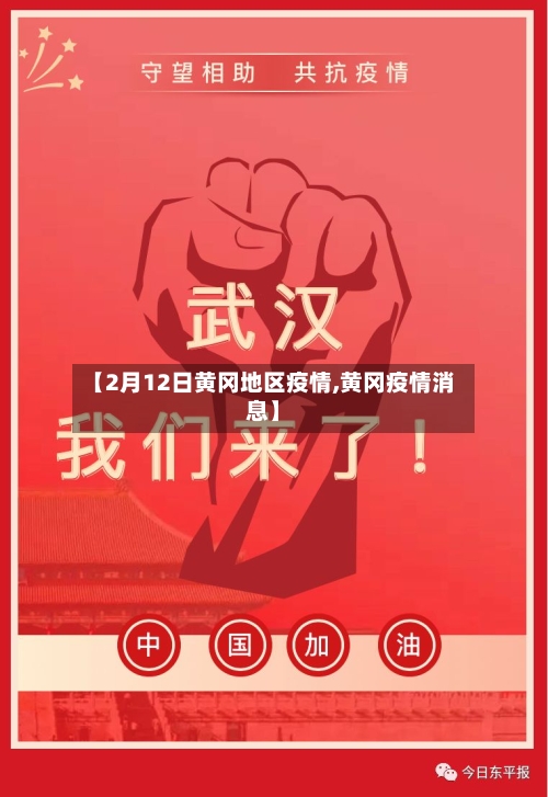【2月12日黄冈地区疫情,黄冈疫情消息】-第2张图片
