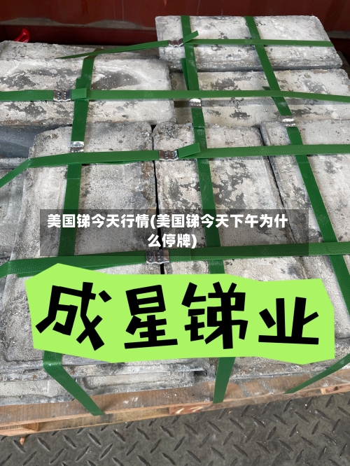 美国锑今天行情(美国锑今天下午为什么停牌)-第2张图片