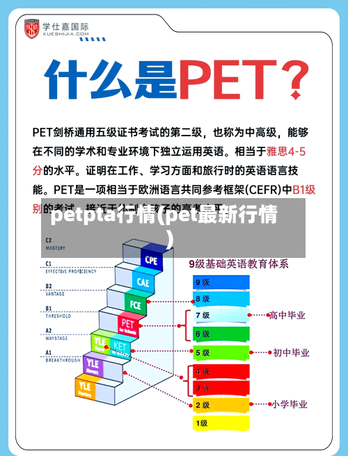 petpta行情(pet最新行情)-第2张图片