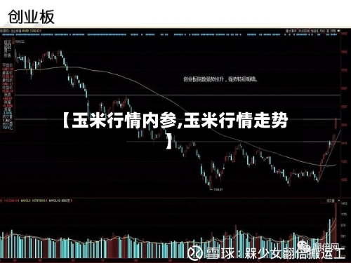 【玉米行情内参,玉米行情走势】