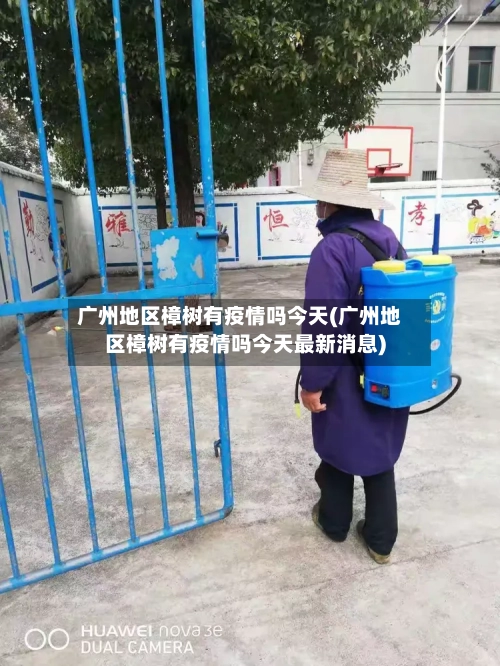 广州地区樟树有疫情吗今天(广州地区樟树有疫情吗今天最新消息)-第2张图片