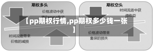 【pp期权行情,pp期权多少钱一张】-第2张图片
