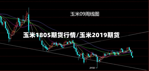玉米1805期货行情/玉米2019期货