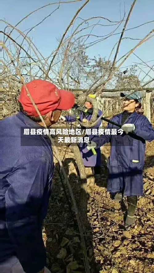 眉县疫情高风险地区/眉县疫情最今天最新消息