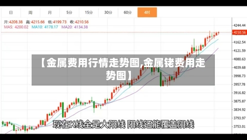 【金属费用行情走势图,金属铑费用走势图】-第2张图片