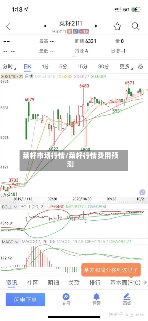 菜籽市场行情/菜籽行情费用预测-第2张图片