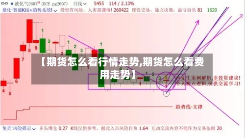 【期货怎么看行情走势,期货怎么看费用走势】