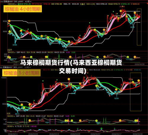 马来棕榈期货行情(马来西亚棕榈期货交易时间)-第2张图片