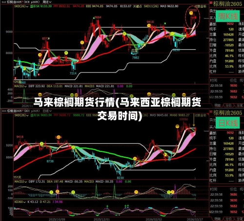 马来棕榈期货行情(马来西亚棕榈期货交易时间)