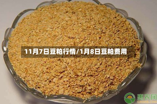 11月7日豆粕行情/1月8日豆粕费用