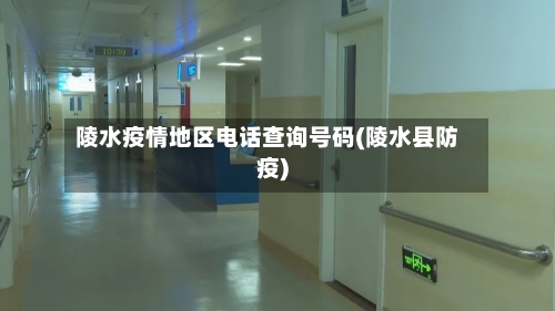 陵水疫情地区电话查询号码(陵水县防疫)-第2张图片