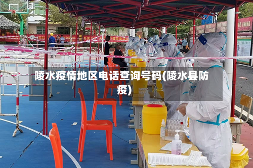 陵水疫情地区电话查询号码(陵水县防疫)-第3张图片