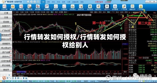 行情转发如何授权/行情转发如何授权给别人-第3张图片