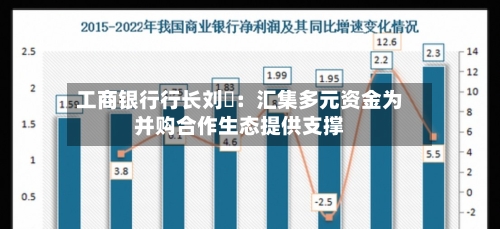 工商银行行长刘珺：汇集多元资金为并购合作生态提供支撑