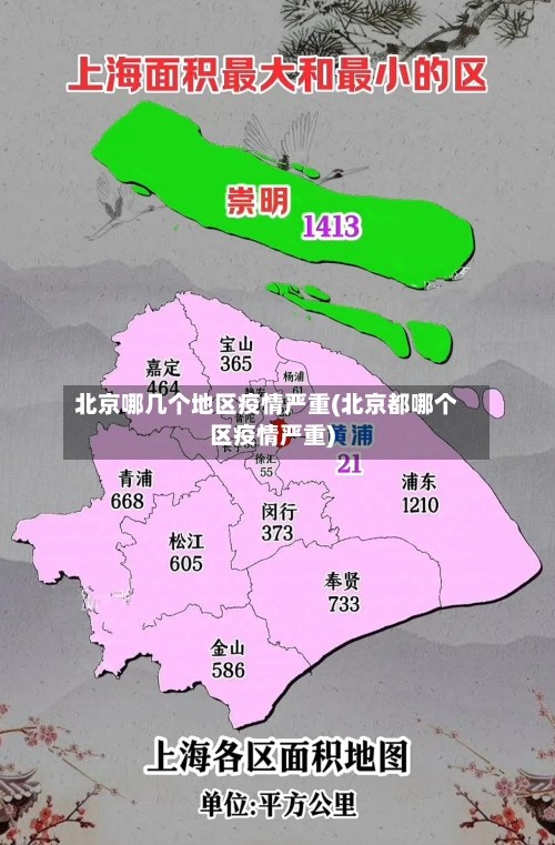 北京哪几个地区疫情严重(北京都哪个区疫情严重)-第2张图片