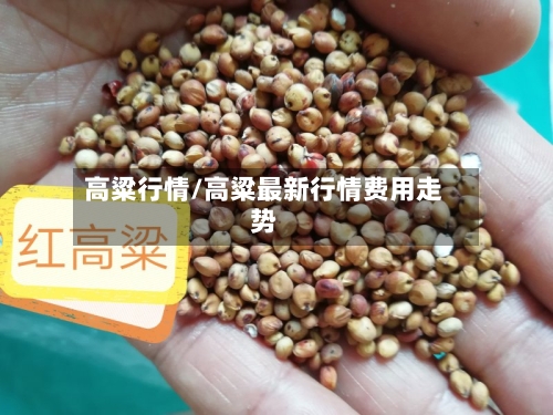 高粱行情/高粱最新行情费用走势