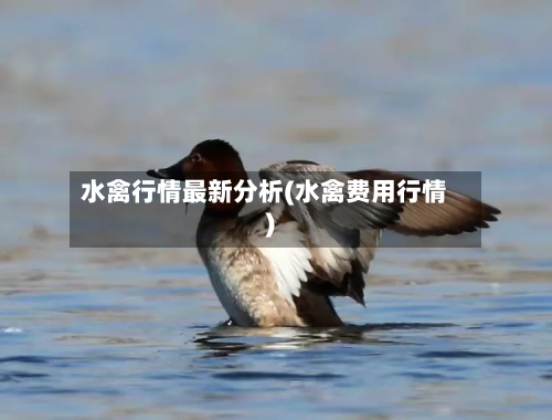 水禽行情最新分析(水禽费用行情)-第3张图片