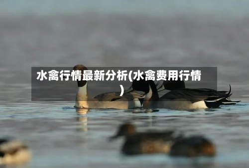 水禽行情最新分析(水禽费用行情)-第2张图片