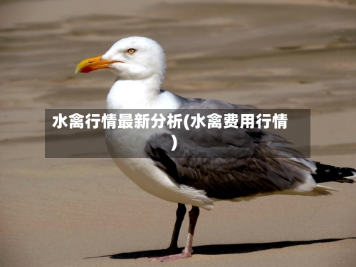 水禽行情最新分析(水禽费用行情)