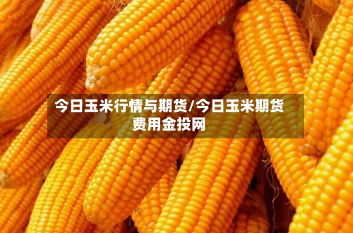 今日玉米行情与期货/今日玉米期货费用金投网-第2张图片