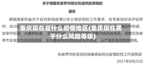 重庆现在是什么疫情地区(重庆现在属于什么风险等级)-第2张图片