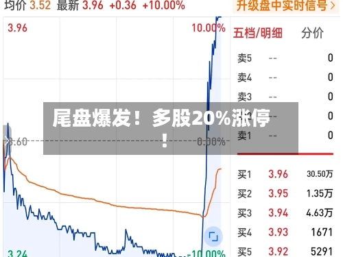 尾盘爆发！多股20%涨停！-第2张图片