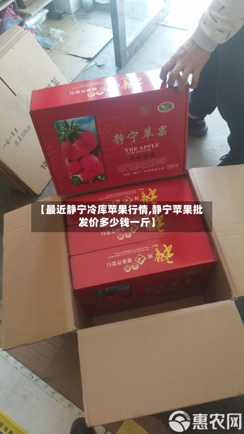 【最近静宁冷库苹果行情,静宁苹果批发价多少钱一斤】-第2张图片