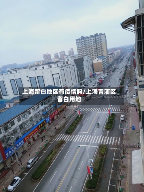 上海留白地区有疫情吗/上海青浦区留白用地-第3张图片