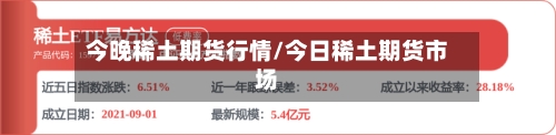 今晚稀土期货行情/今日稀土期货市场-第2张图片