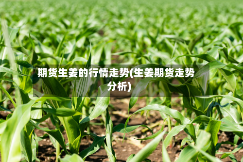 期货生姜的行情走势(生姜期货走势分析)