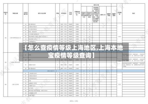 【怎么查疫情等级上海地区,上海本地宝疫情等级查询】-第2张图片